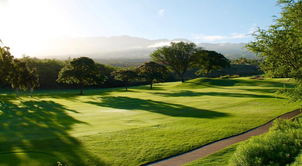 Sunlit fairway framed by trees