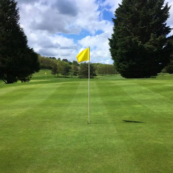 Putting green with a yellow flag